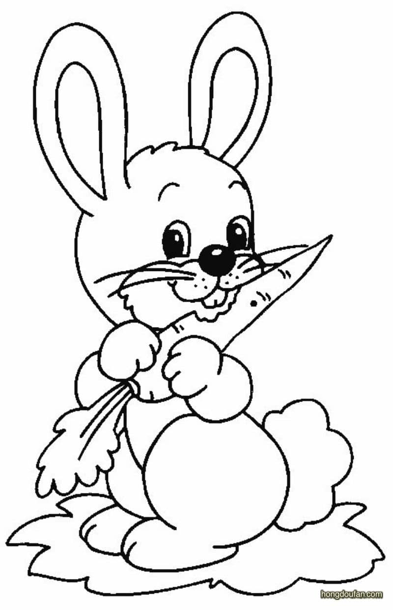 吃胡萝卜的卡通小兔子简笔画大全
