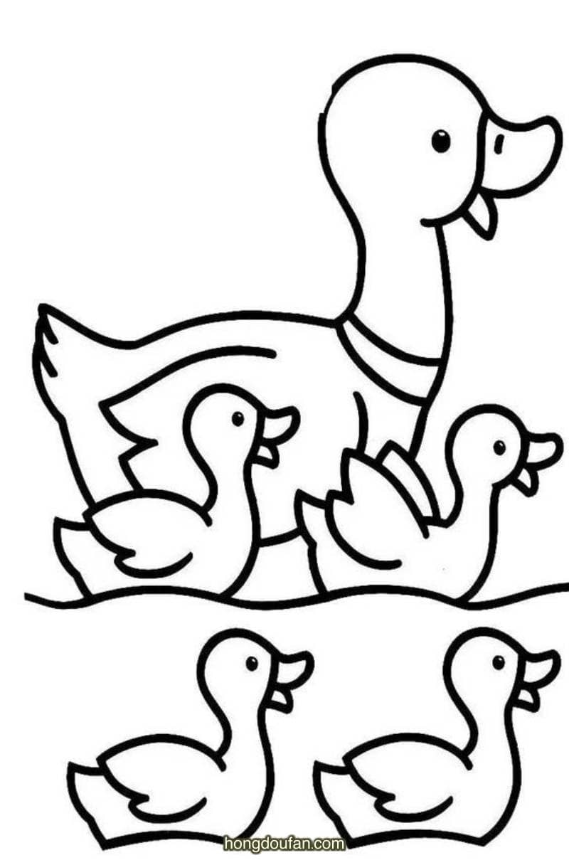 鸭妈妈带着一群小鸭子要如何画一家人简笔画大全