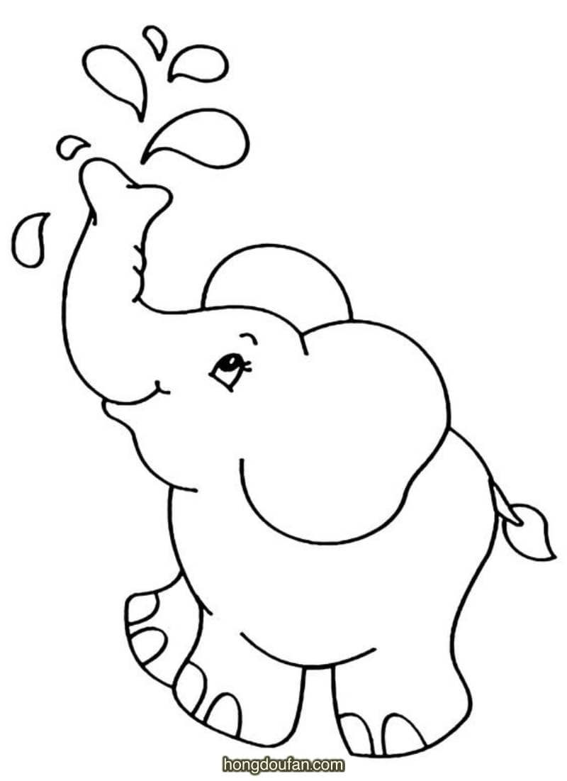 马戏团的大象会喷水喷水的马戏团大象简笔画大全