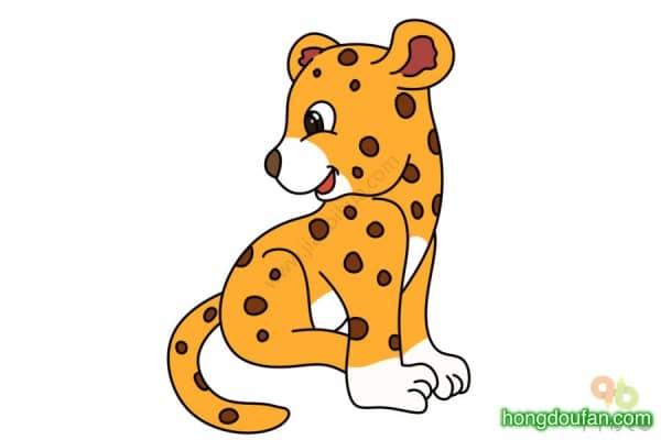 6张卡通动物金钱豹树獭小花猫儿童简笔画