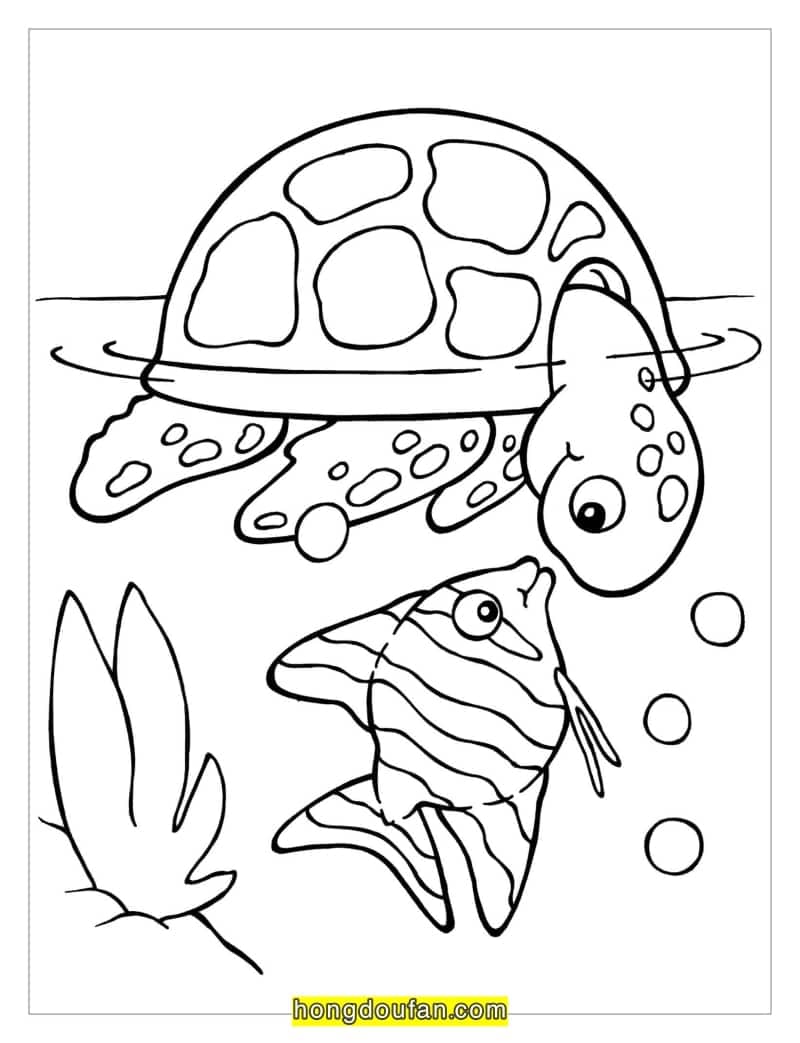 10张大乌龟小乌龟儿童简笔画和填色图片下载